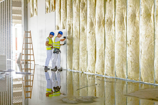 Best Insulation Removal  in Grace, ID